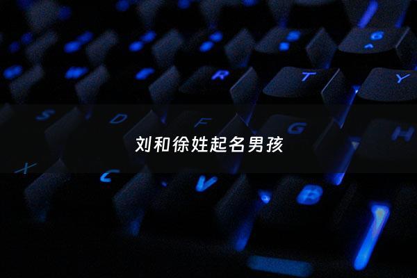 刘和徐姓起名男孩 - 刘徐双姓怎么取名