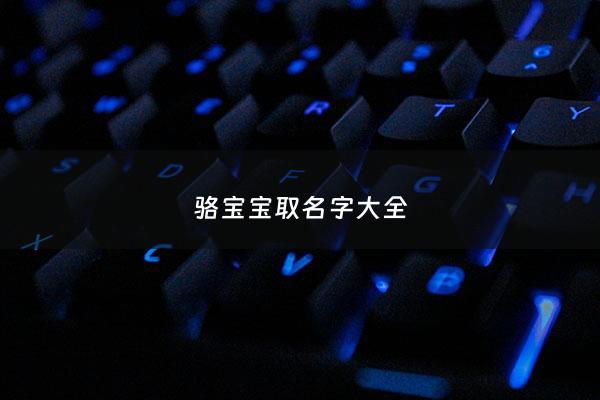 骆宝宝取名字大全 - 骆字取名男孩有寓意吗